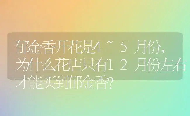 郁金香开花是4~5月份，为什么花店只有12月份左右才能买到郁金香？ | 绿植常识