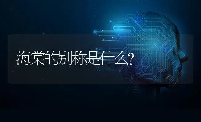 海棠的别称是什么？ | 绿植常识