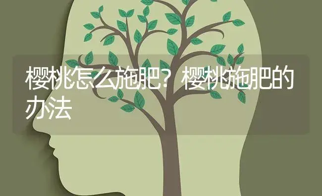 樱桃怎么施肥？樱桃施肥的办法 | 果木种植