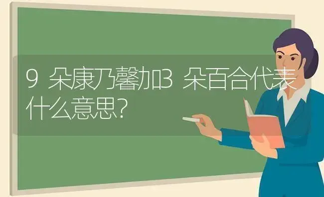 9朵康乃馨加3朵百合代表什么意思？ | 绿植常识