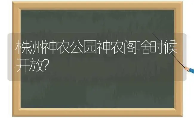 株洲神农公园神农阁啥时候开放？ | 多肉养殖