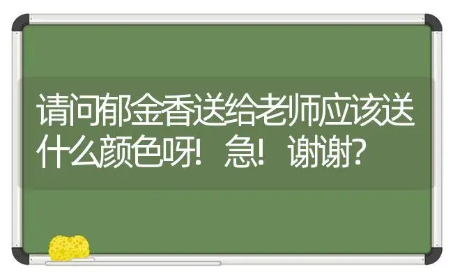 请问郁金香送给老师应该送什么颜色呀!急!谢谢？ | 绿植常识