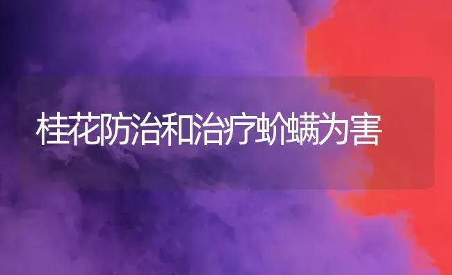 桂花防治和治疗蚧螨为害 | 家庭养花