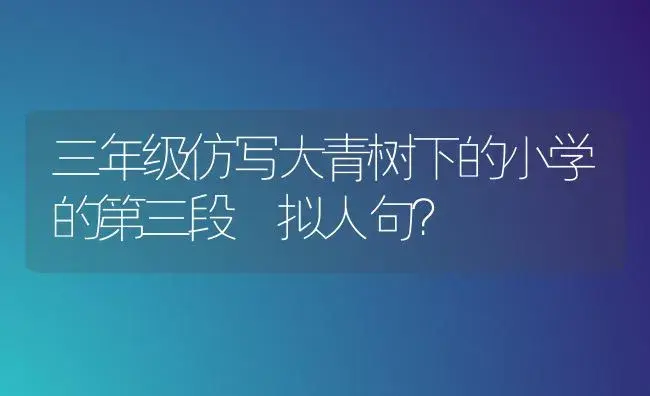 三年级仿写大青树下的小学的第三段 拟人句？ | 绿植常识