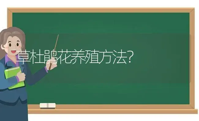 草杜鹃花养殖方法？ | 绿植常识