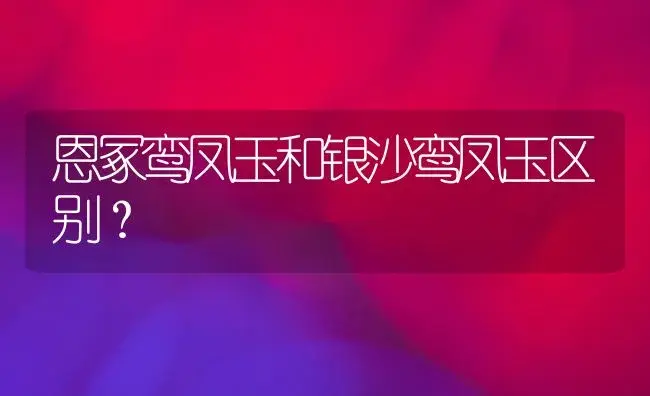 恩冢鸾凤玉和银沙鸾凤玉区别？ | 多肉养殖