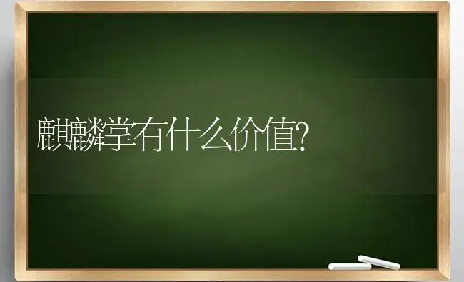 麒麟掌有什么价值？ | 多肉养殖