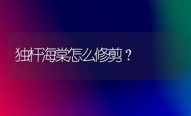 独杆海棠怎么修剪？ | 绿植常识