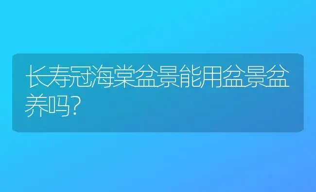 长寿冠海棠盆景能用盆景盆养吗？ | 绿植常识