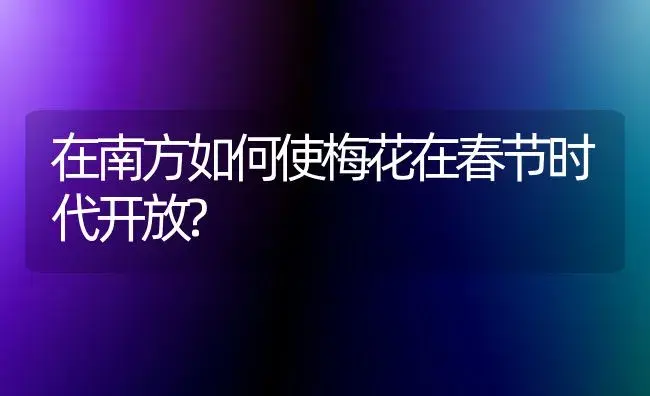 在南方如何使梅花在春节时代开放? | 家庭养花