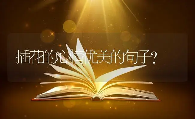 插花的心情优美的句子？ | 绿植常识