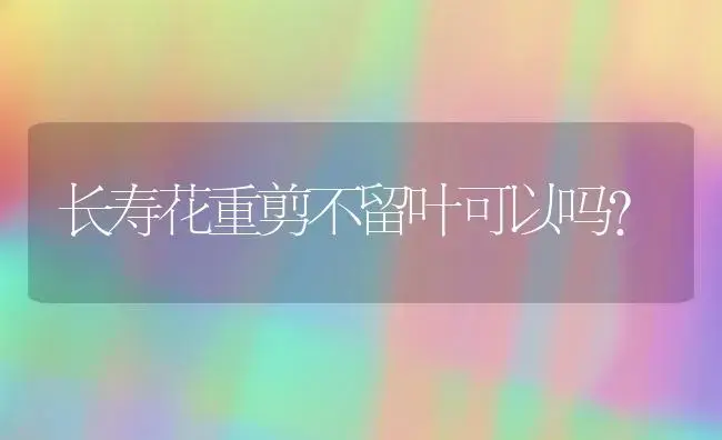 长寿花重剪不留叶可以吗？ | 多肉养殖