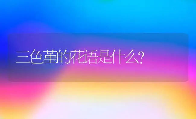 三色堇的花语是什么？ | 绿植常识