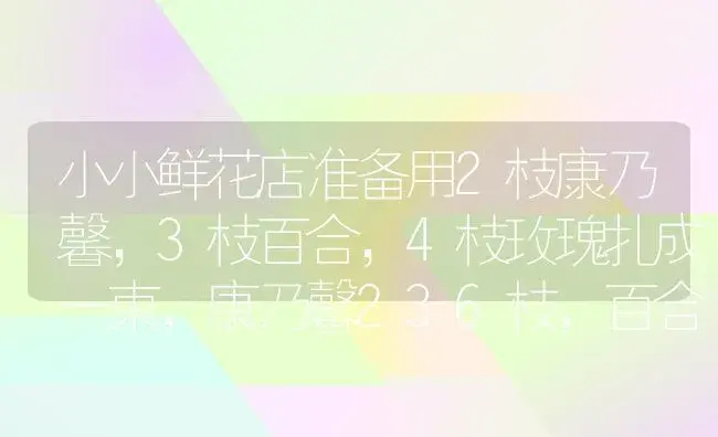 小小鲜花店准备用2枝康乃馨，3枝百合，4枝玫瑰扎成一束，康乃馨236枝，百合282枝，玫瑰304枝？ | 绿植常识