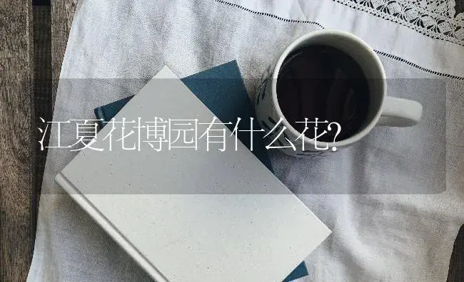 江夏花博园有什么花？ | 多肉养殖