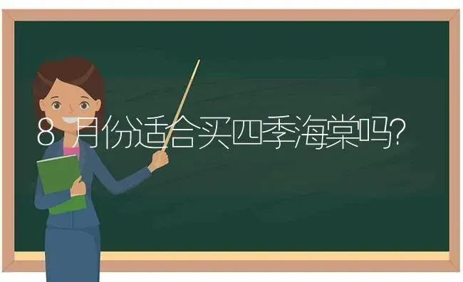 8月份适合买四季海棠吗？ | 绿植常识