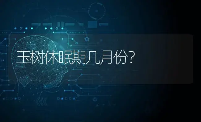 玉树休眠期几月份？ | 多肉养殖