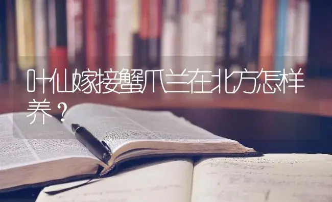 叶仙嫁接蟹爪兰在北方怎样养？ | 多肉养殖