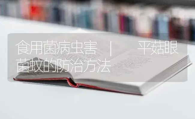 平菇眼菌蚊的防治方法 | 菌菇种植