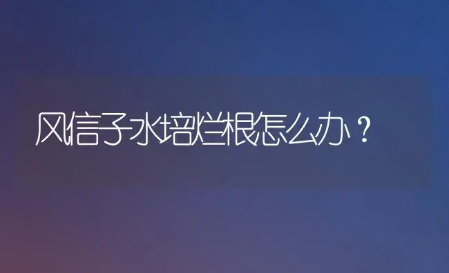 风信子水培烂根怎么办？ | 绿植常识