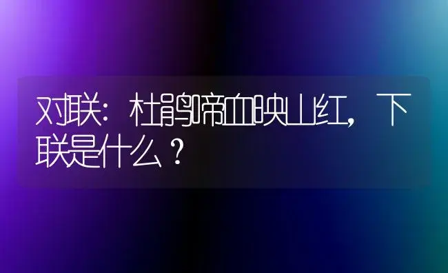 对联:杜鹃啼血映山红，下联是什么？ | 绿植常识