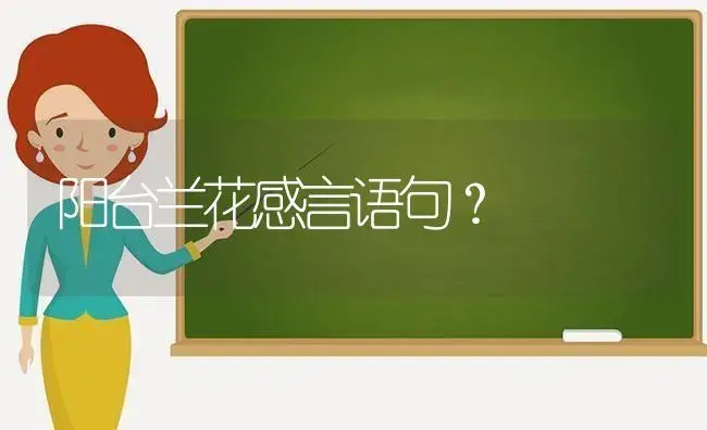 阳台兰花感言语句？ | 绿植常识