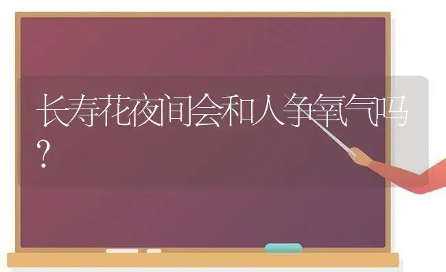 长寿花夜间会和人争氧气吗？ | 多肉养殖