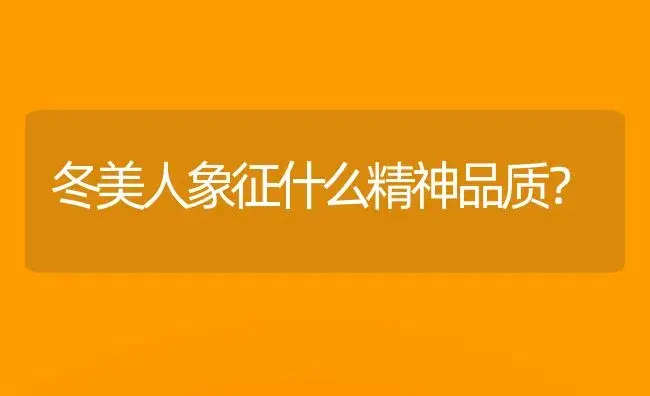 冬美人象征什么精神品质？ | 多肉养殖