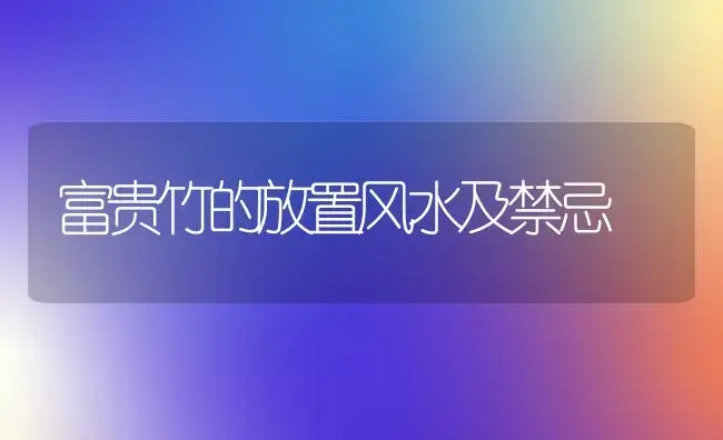 富贵竹的放置风水及禁忌 | 家庭养花