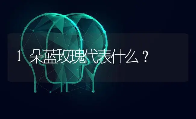 1朵蓝玫瑰代表什么？ | 绿植常识