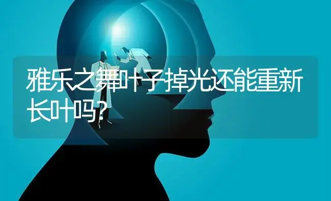 雅乐之舞叶子掉光还能重新长叶吗？ | 多肉养殖