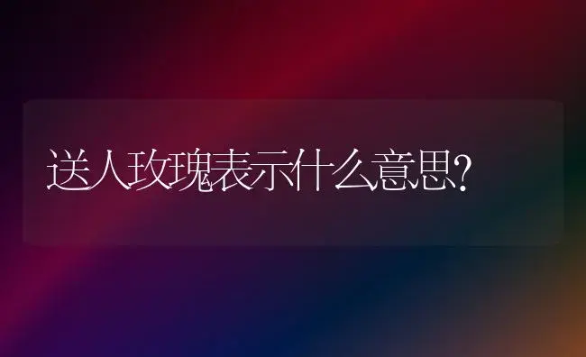 送人玫瑰表示什么意思？ | 绿植常识