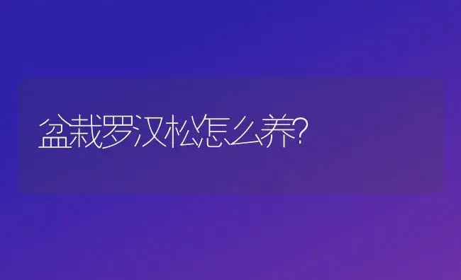 盆栽罗汉松怎么养？ | 家庭养花