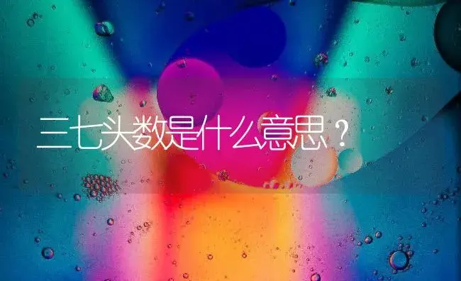 三七头数是什么意思？ | 药材种植