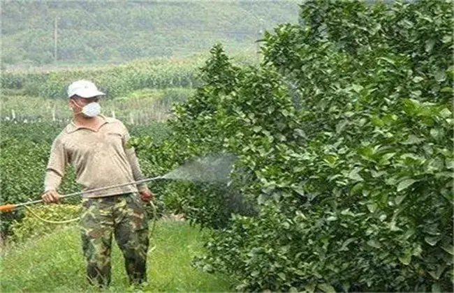 夏季果树喷药小心事项