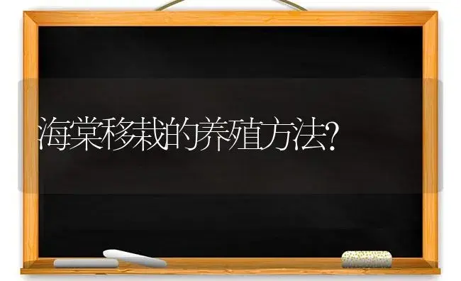 海棠移栽的养殖方法？ | 绿植常识