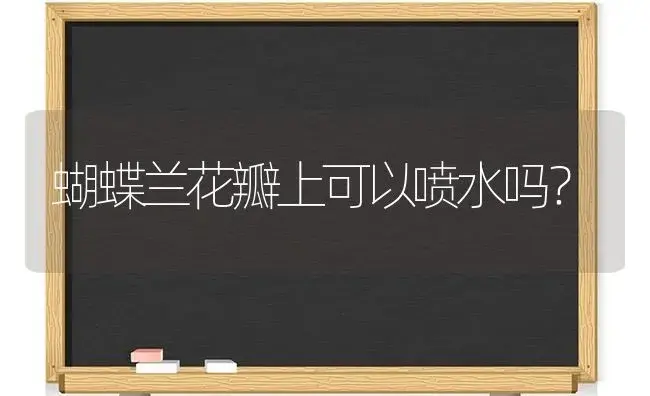 蝴蝶兰花瓣上可以喷水吗？ | 绿植常识