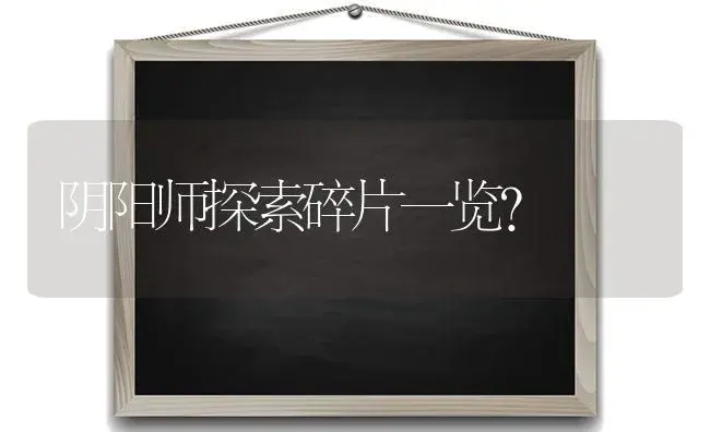 阴阳师探索碎片一览？ | 多肉养殖