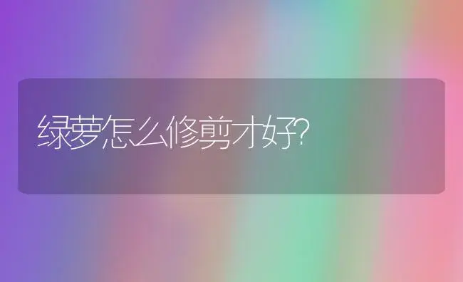 绿萝怎么修剪才好？ | 家庭养花