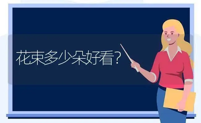 花束多少朵好看？ | 绿植常识