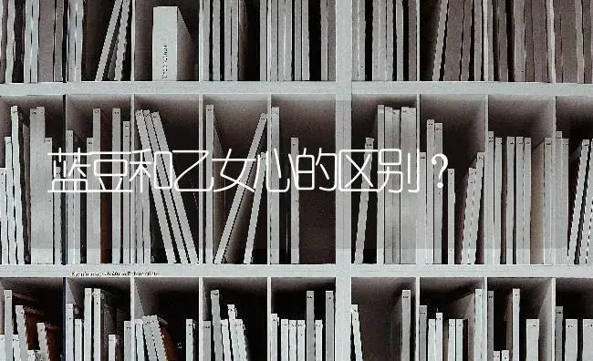 蓝豆和乙女心的区别？ | 多肉养殖