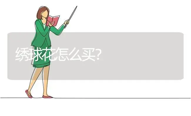 绣球花怎么买？ | 绿植常识