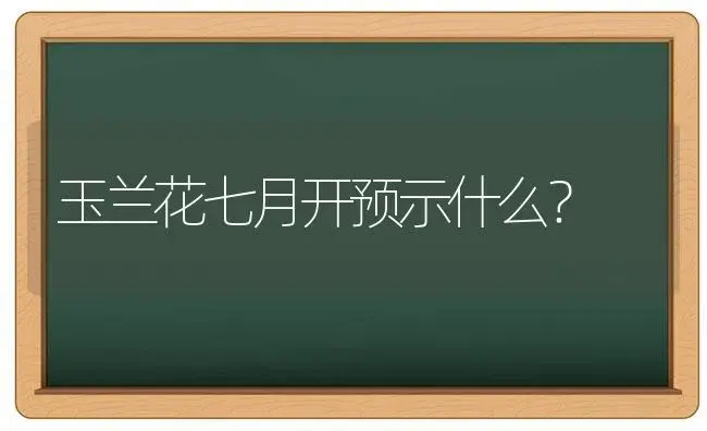 玉兰花七月开预示什么？ | 绿植常识