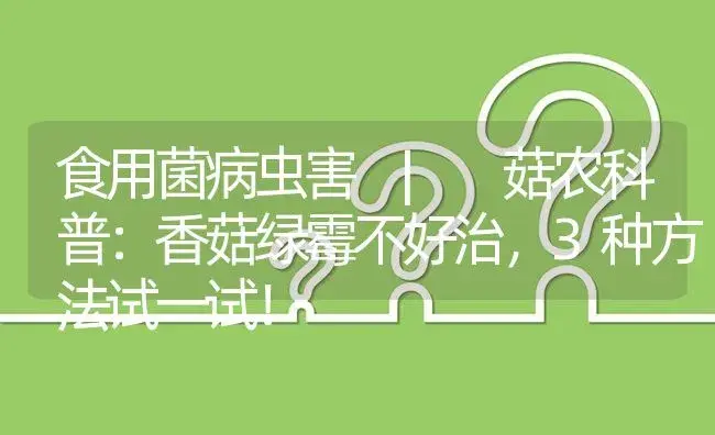 菇农科普：香菇绿霉不好治，3种方法试一试！ | 菌菇种植