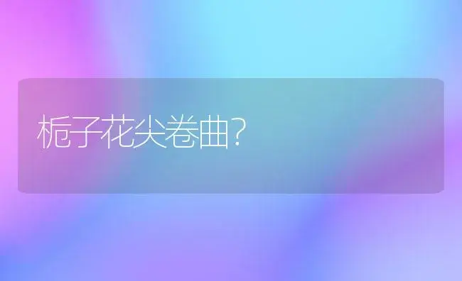 栀子花尖卷曲？ | 绿植常识