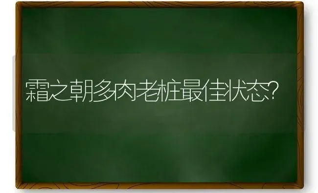 霜之朝多肉老桩最佳状态？ | 多肉养殖