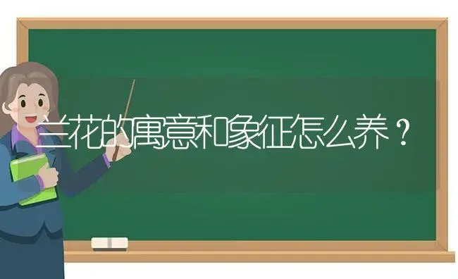 兰花的寓意和象征怎么养？ | 绿植常识