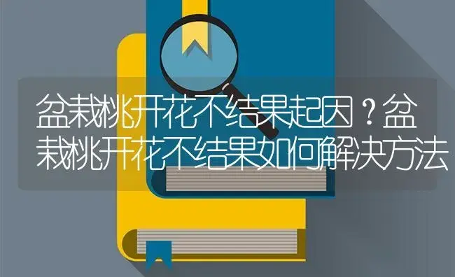 盆栽桃开花不结果起因？盆栽桃开花不结果如何解决方法 | 果木种植