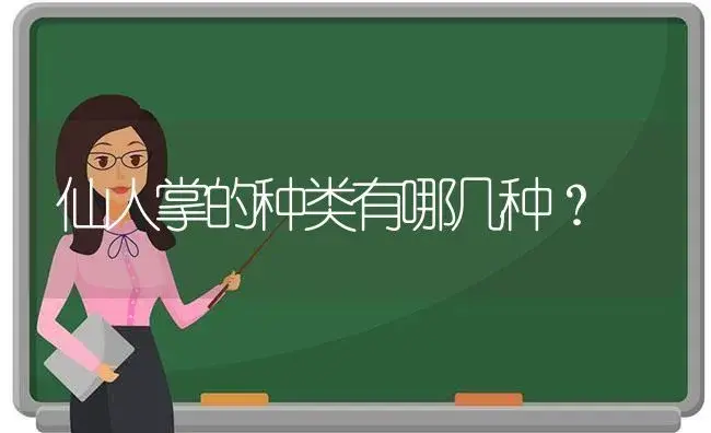 仙人掌的种类有哪几种？ | 多肉养殖