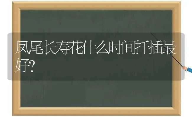 凤尾长寿花什么时间扦插最好？ | 多肉养殖